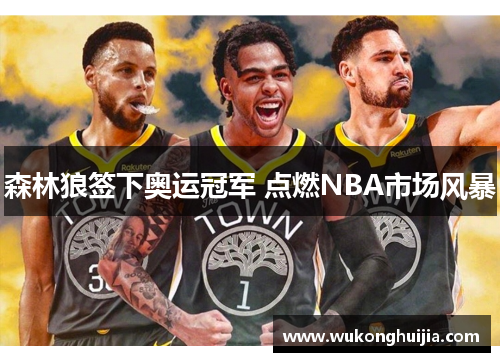 森林狼签下奥运冠军 点燃NBA市场风暴